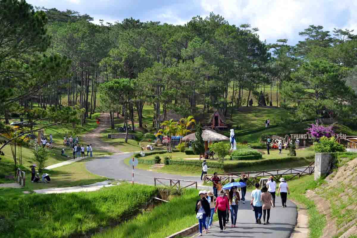 Khám phá rừng xanh ở Madagui