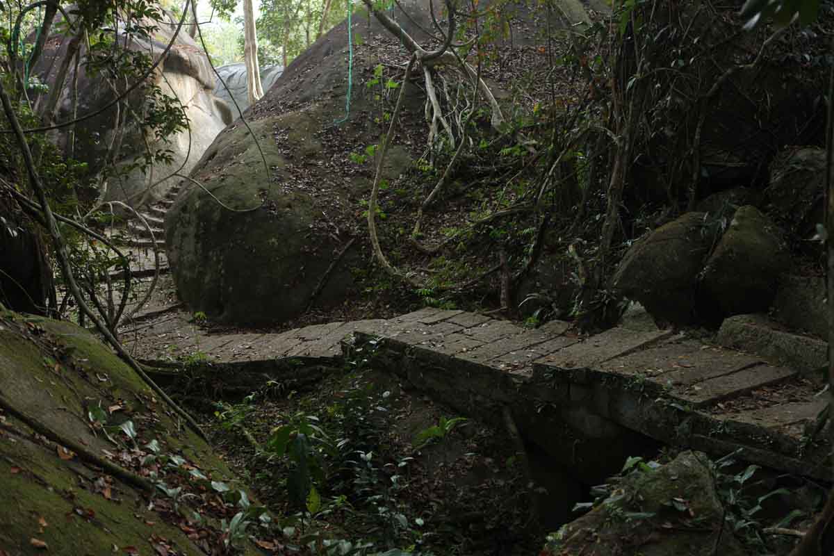 Khám phá rừng xanh ở Madagui