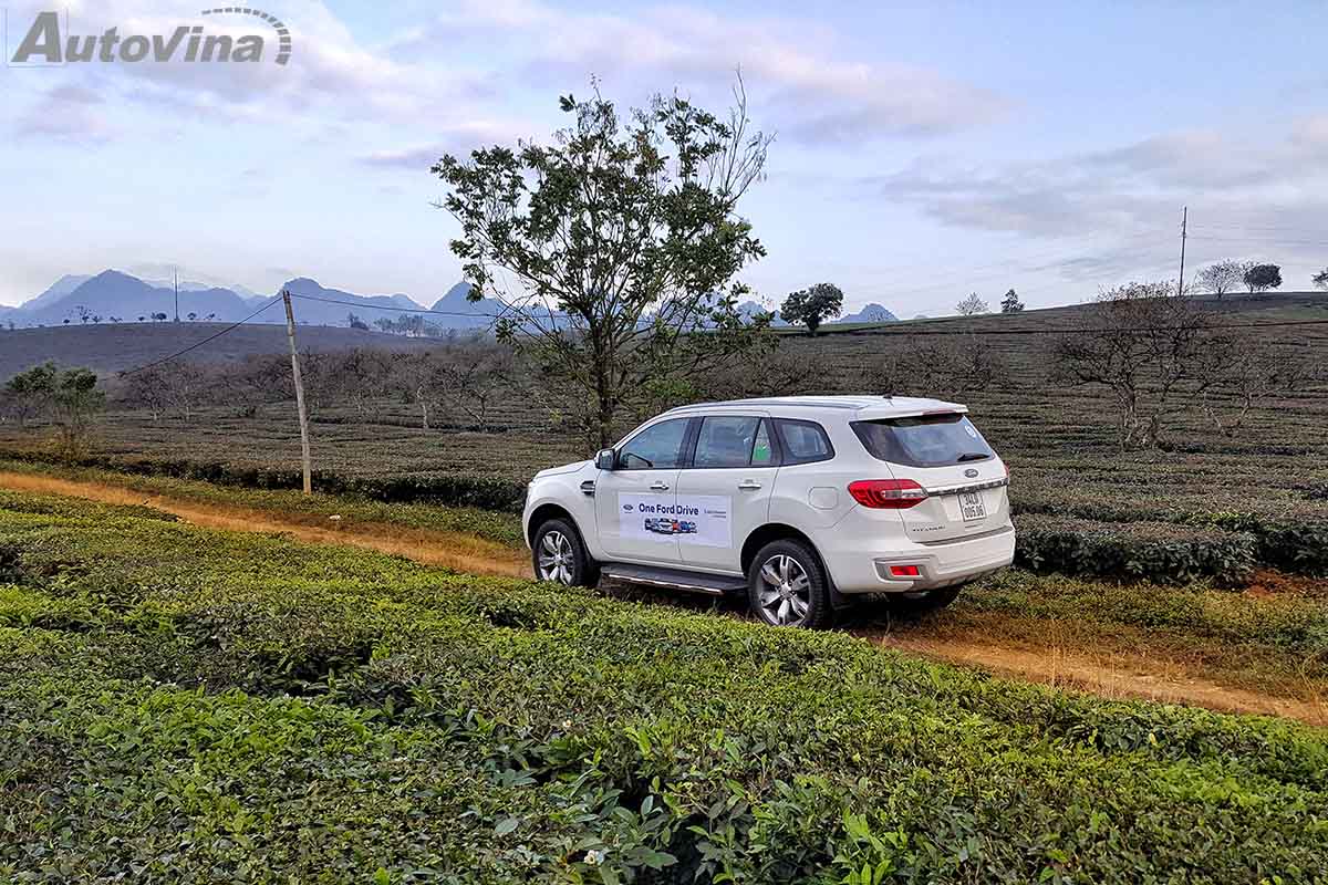 Ford Everest mới