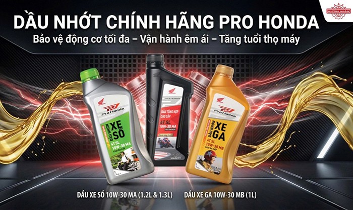 kuong-ngan-02-2026-oil-1774699848.jpg