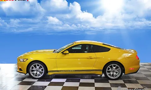 Ảnh "ngựa hoang" Ford Mustang phiên bản đặc biệt tại Hà Nội