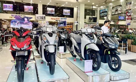 Quý 1 năm 2024, thị trường xe máy Việt Nam lao dốc