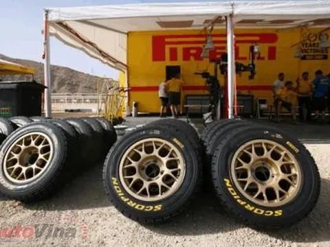 Các loại lốp dùng trong giải đua xe đường trường WRC