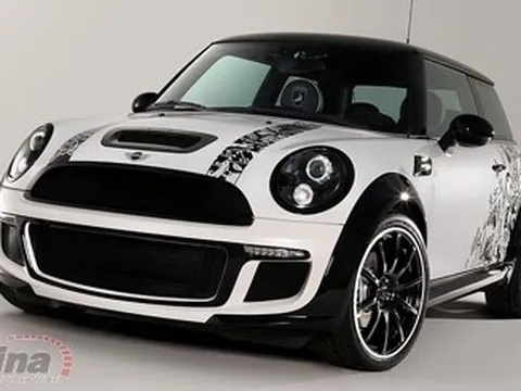 Bộ đôi Mini Cooper S độc đáo