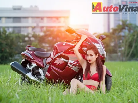 Đường cong Việt và thần gió Hayabusa
