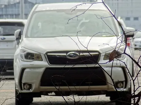 Subaru Forester 2014 lộ diện