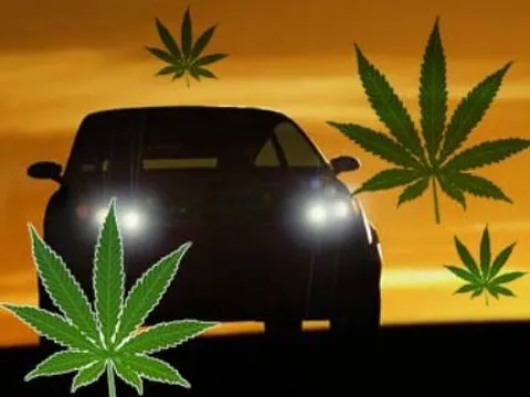 Xe điện chế tạo từ... cần sa