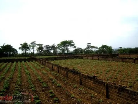  Khi đất Ba Vì tăng giá: Lo “hậu” cơn sốt 