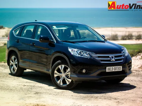 Tăng trưởng 42%, thị trường xe Việt khởi sắc