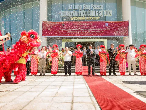 Xe DCar được sử dụng cho dịch vụ vận tải cao cấp ở miền Bắc