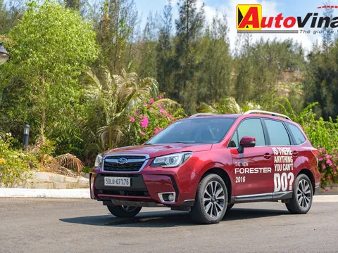 Trải nghiệm Subaru Forester 2016: Tiếp nối thành công
