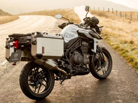 Triumph Tiger 1200 2020: 1.215 phân khối, giá 380 triệu đồng
