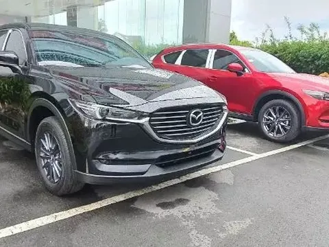 Những mẫu xe SUV nói không với 'lạc' trong tháng 5