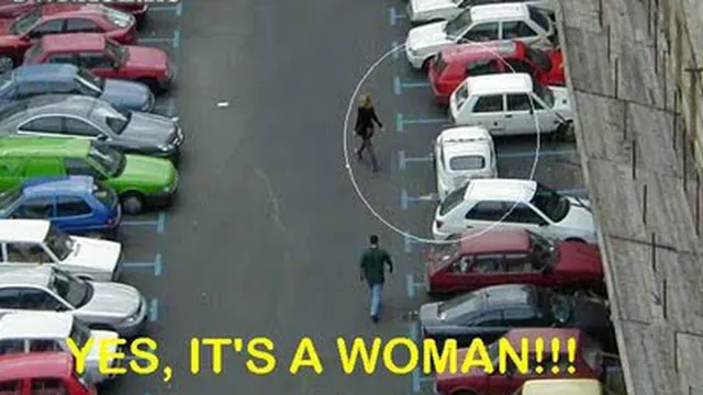 Những màn đậu xe ngớ ngẩn nhất thế giới